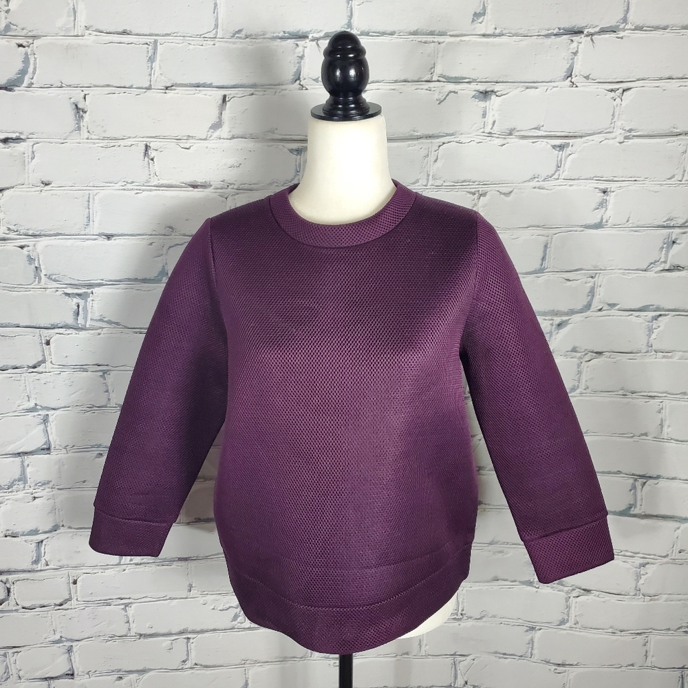 Kate Spade Saturday Purple Mesh Top